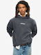 Graphic Sweatshirt with Hood Gray