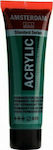 Royal Talens Standard Acrylic Paint Set Permanent Green Deep 619 20ml 1pcs