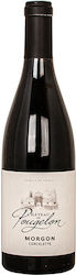 Chateau Pougelon Morgon Corcelette 2020 0.75l Chateau Pougelon Morgon Corcelette 2020 0.75l