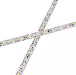 Greenie Tasma Led 1m 60 Leds 5050smd Per Meter 14.4w/mb Waterproof Ip65 Cw Roll 5m Tl514cw
