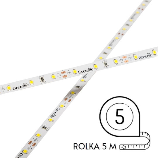Greenie LED Strips 60x2835smd 6W/m IP65 Cold White Roll 5m Tl506cw