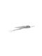 Atmosphera Christmas Decorative Branch Fern Black