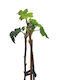 Schwarze Johannisbeere Jostabeere 50cm