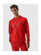 Sweatshirt mit Kapuze Rot