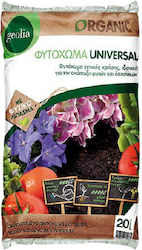 Plant Soil 20lt