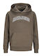 Jack & Jones Kids Sweatshirt Brown