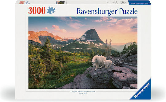 Foto City Landscape Puzzle 2D 3000 Pieces
