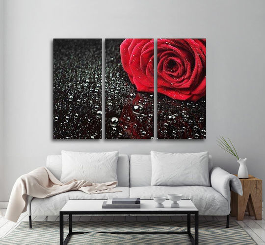 I-gallery Τρίπτυχος Πίνακας σε Καμβά 130x130cm
