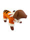 Costum Tigru Woofmoda S