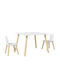 Kids Table and Chairs Set for Painting made of Wood White 312-115V80WT Aiyaplay