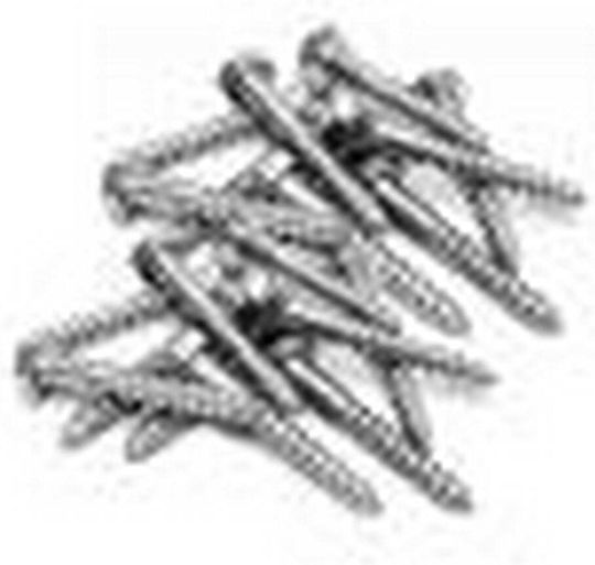 Helix Coach Screw Hexagon Galvanized DIN 571 with Diameter M6 and Length 40mm 200pcs Din 571