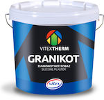 Vitex Σοβа Granikot Silicone 2000757 25кг