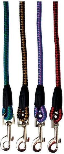 Tatrapet Dog Leash/Lead Strap in Green color