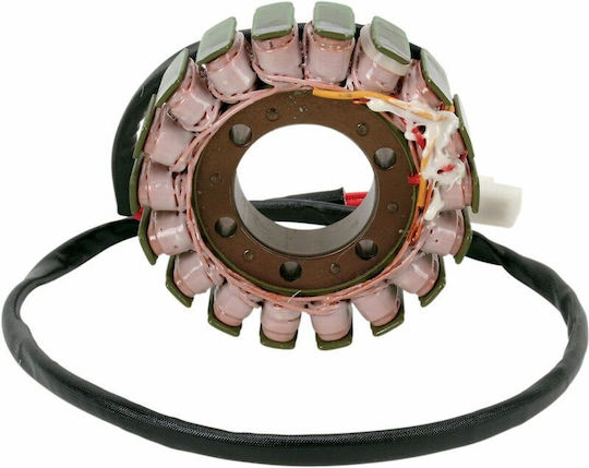 Ricks Motorsport Electric Βολάν Μοτοσυκλέτας 21-010