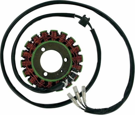 Ricks Motorsport Electric Volan Motorrad 21-303