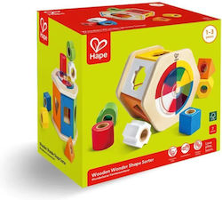 Hape Early Explorer for 12++ Months