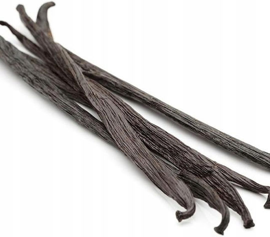 Bourbon Vanilleschoten 20 Stück Frisch Lang 15cm+
