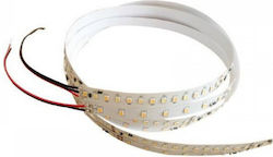 DIL LED-Streifen 24V Warmes Weiß 5m DIL LED-Streifen 24V Warmes Weiß 5m