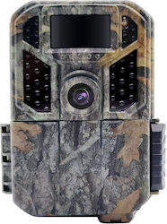 Braun Phototechnik Scouting Cam