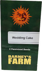 Barneys Farm Σπόροι