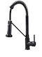 Kitchen Faucet Counter with External Spray Hose Black