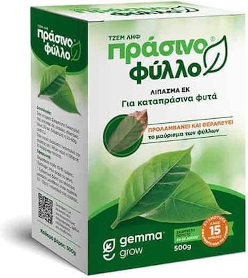 Green Leaf 500g