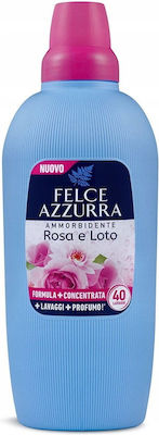 Felce Azzurra Concentrat Balsam de Rufe 1x2000ml