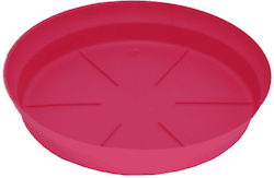 Micplast 227474 Platou Pot Fuchsia 34x34buc