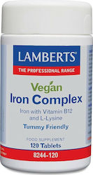 Lamberts Vegan Iron Complex 120 tabs