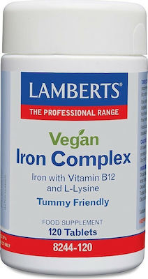 Lamberts Vegan Iron Complex 120 tabs