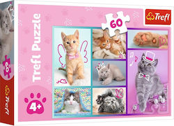 Trefl Puzzle 60 Süße Katzen