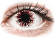 Gelflex 2 Daily Contact Lenses