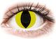 Gelflex 2 Daily Coloured Without Diopters Contact Lenses Cat Eye Yellow