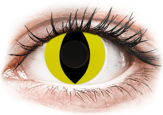 Gelflex 2 Daily Coloured Without Diopters Contact Lenses Cat Eye Yellow