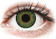 Alcon Air Optix Colors 2 Monatlich Farbige Kont...