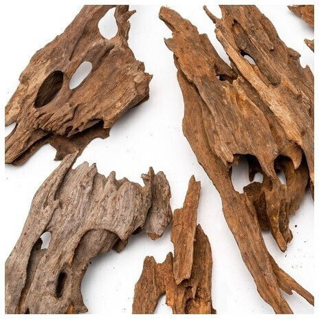 Strideways Φυσικό Ξύλο Dragon Wood 30-40cm