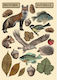 Decorative Wooden Sticks A5 Stamperia Forest