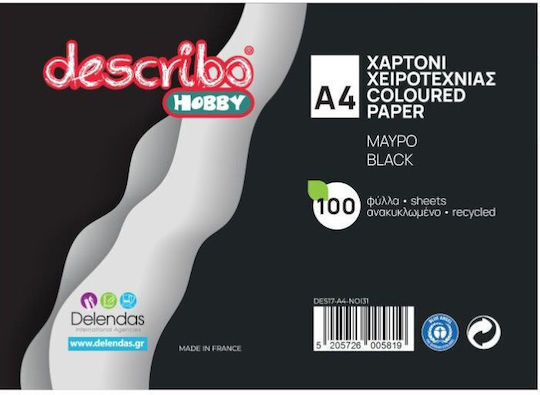 Describo Carton A4 100 Foi Negru