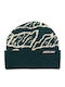 Beanie Beanie Knitted in Green color