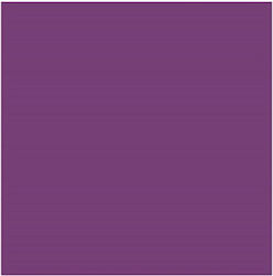Canson Chroma Cardstock 50x70cm Purple 5022