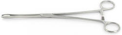 Gima Medical & Surgical Straight Forcep 25cm