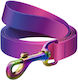 WauDog Dog Leash/Lead Strap in Purple color