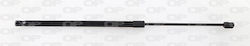 Open Parts Αμορτισέρ Πορτ Μπαγκάζ για Citroen Saxo Open Parts Αμορτισέρ Πορτ Μπαγκάζ για Citroen Saxo