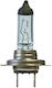 Bosch Λάμπες Αυτοκινήτου Xenon Blue H7 Μπλε 16V 55W