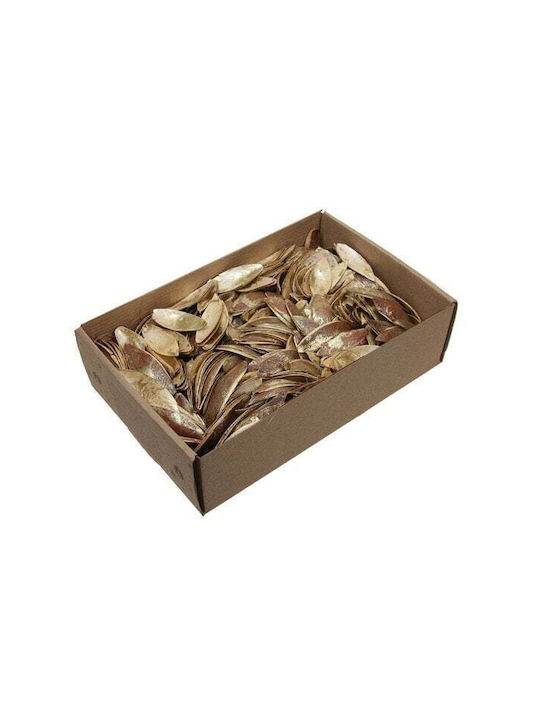 Lily Petals Dried 300g Gold