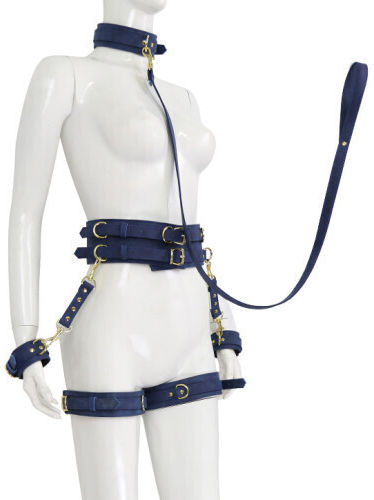 Naughty Toys BDSM Kit in Blau Farbe 6Stück