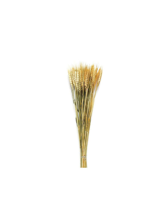 Andrea House Dried Plant 60cm 1pcs