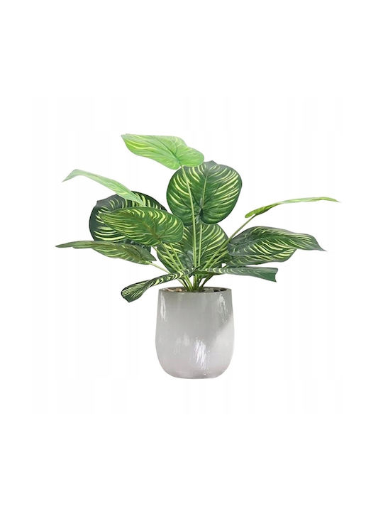 Plantă Artificială în Ghiveci Mic Calathea 37cm 1buc