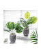Plantă Artificială în Ghiveci Mic Calathea 37cm