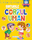 Corpul Uman - Simturile